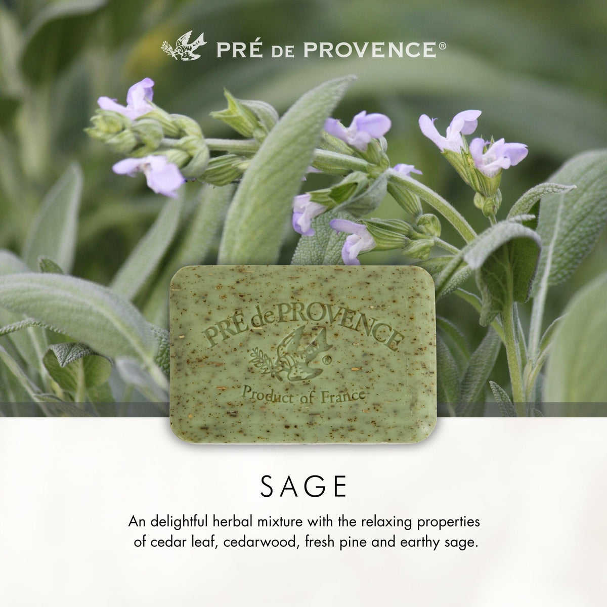 Pre de Provence Artisanal Soap Bar Sage Scent in a luxury gift basket