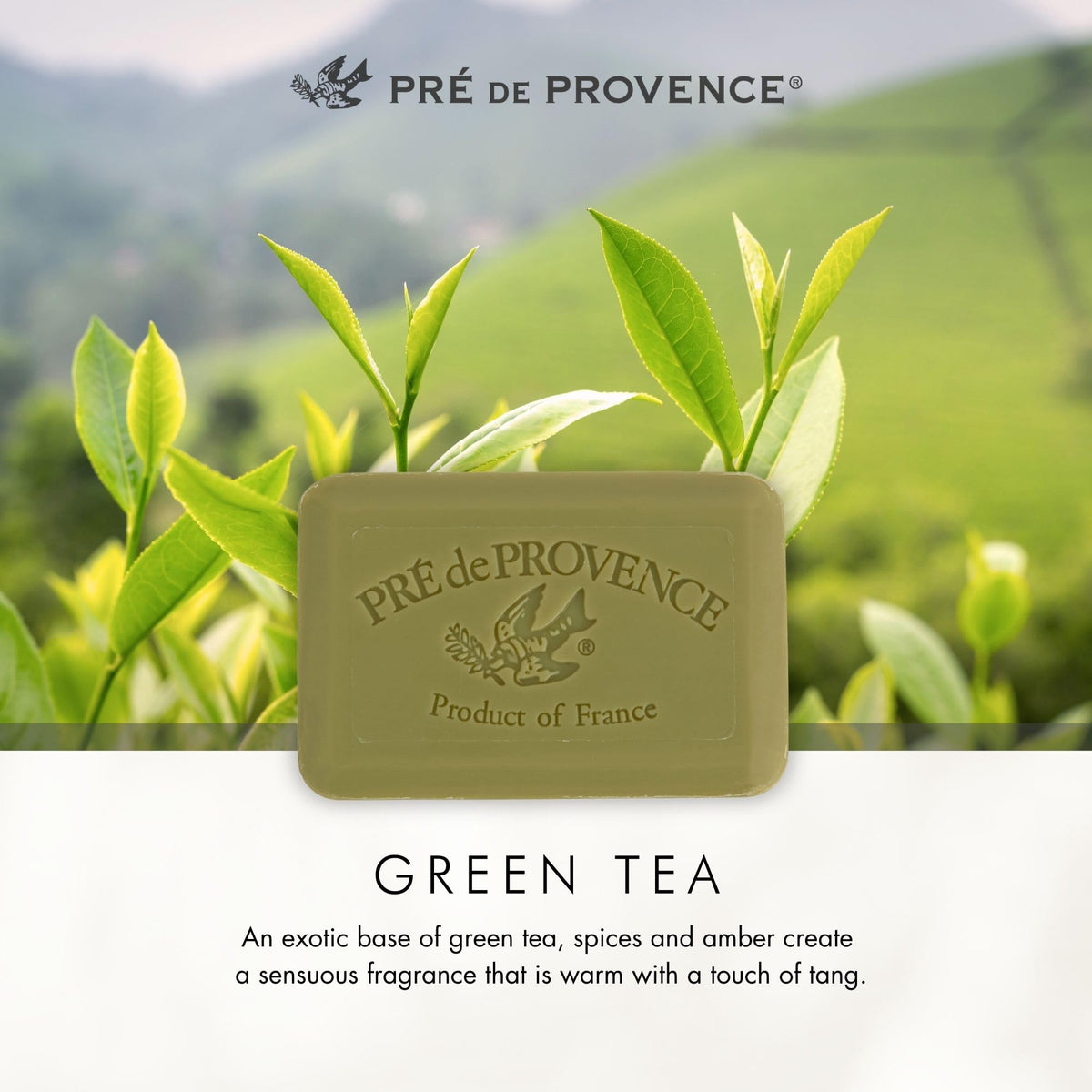 Pre de Provence Green Tea Soap Bar displayed with gift basket