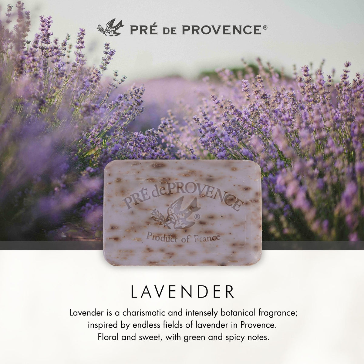 Pre de Provence Lavender Soap Bar with a luxurious gift basket