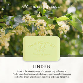 Pre de Provence soap bar showing creamy lather
