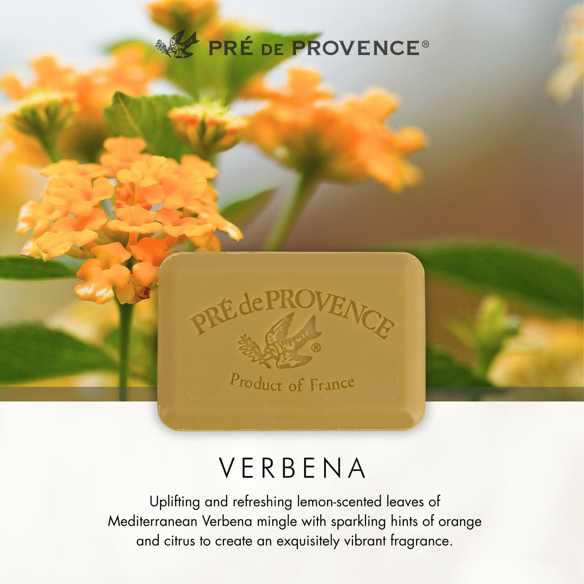 Pre de Provence Verbena Soap Bar with a gift basket