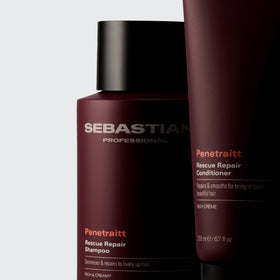 Professional Sebastian Penetraitt Deep Repair Masque with other hair products