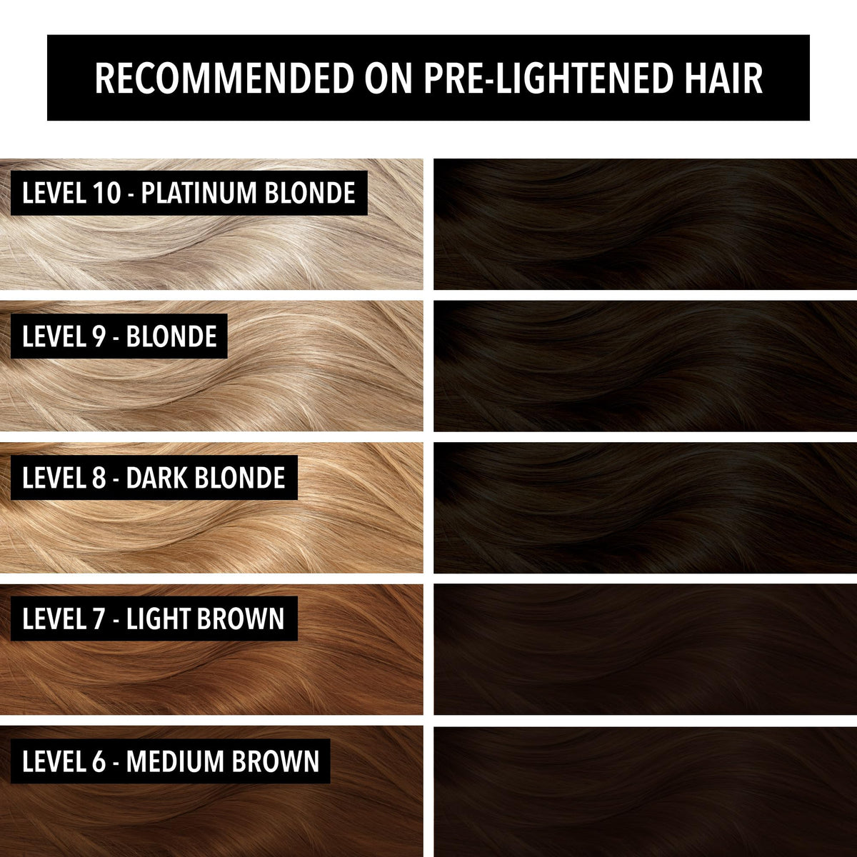 Pulp Riot Noir hair colour application on hair