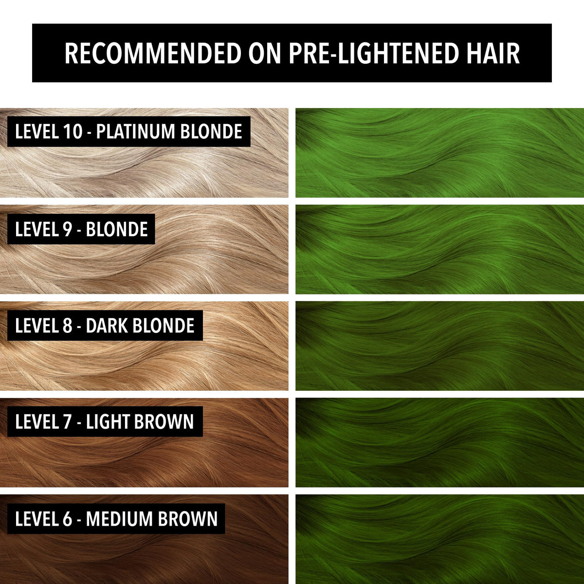 Pulp Riot Snake Eyes hair color application on clean hair