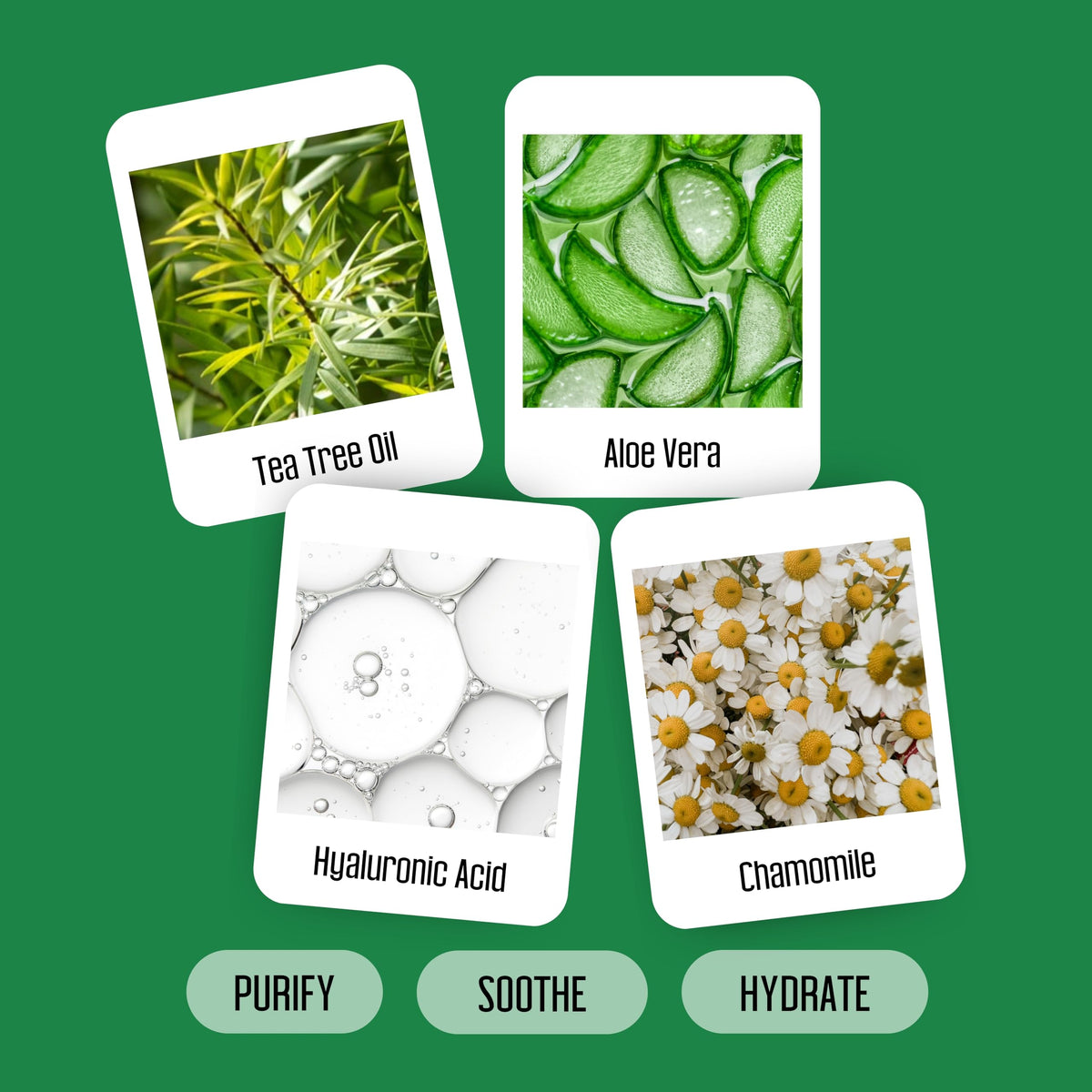 PURELID Tea Tree Eyelid Wipes opened with a wipe visible