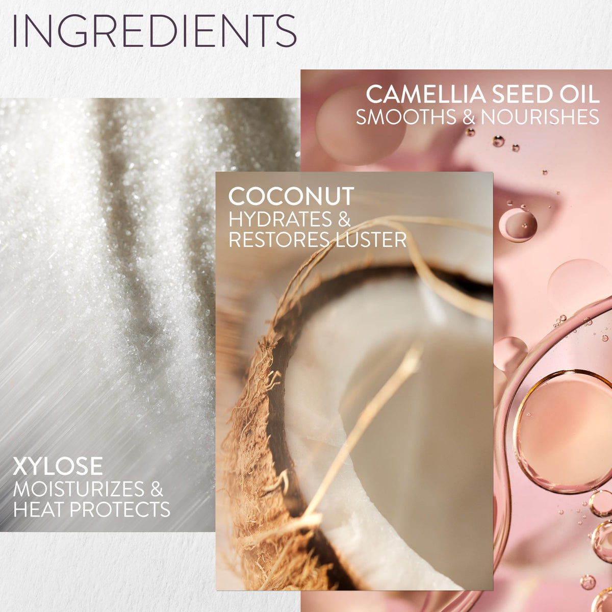 Pureology Color Fanatic Leave-In Conditioner packaging details