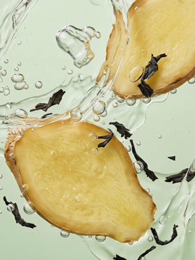 PUREU Zesty Ginger Amber Perfume Oil with other beauty products