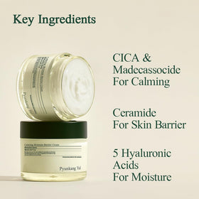 Pyunkang Yul Calming Moisture Barrier Cream 100ml packaging