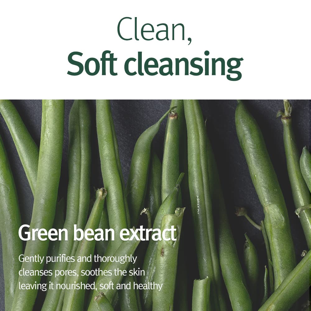 Pyunkang Yul Cleansing Foam with fresh green leaves