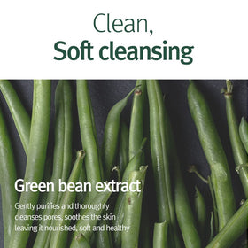 Pyunkang Yul Cleansing Foam with fresh green leaves