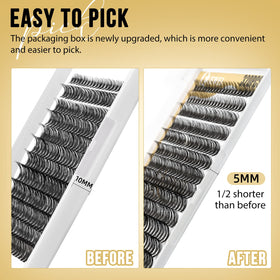 QUEWEL Lash Clusters showing various lengths and curls