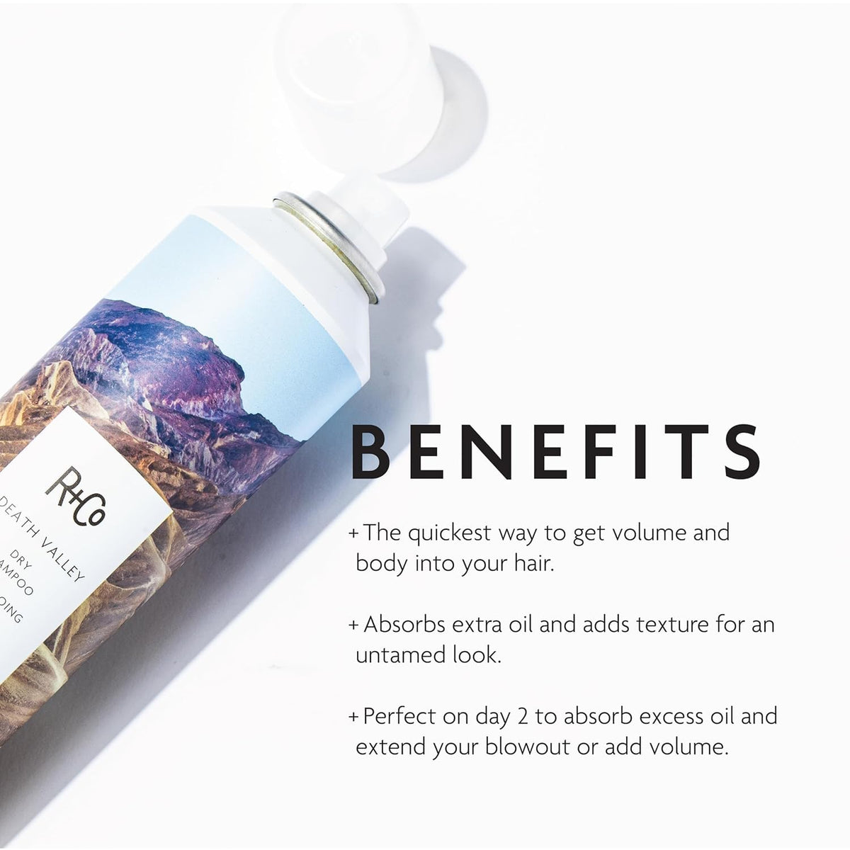 R+Co Death Valley Dry Shampoo 231g back view