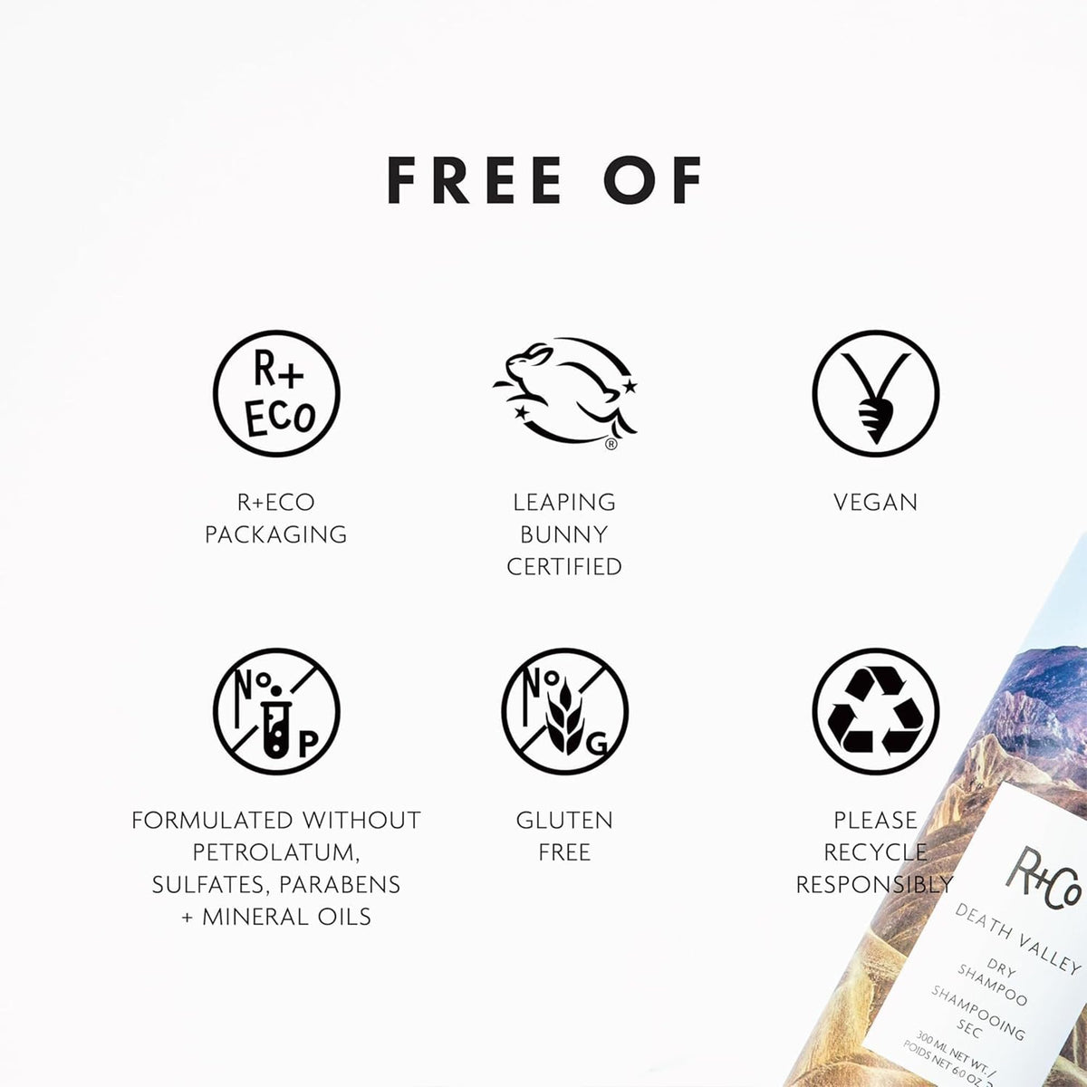 R+Co Death Valley Dry Shampoo 231g side view