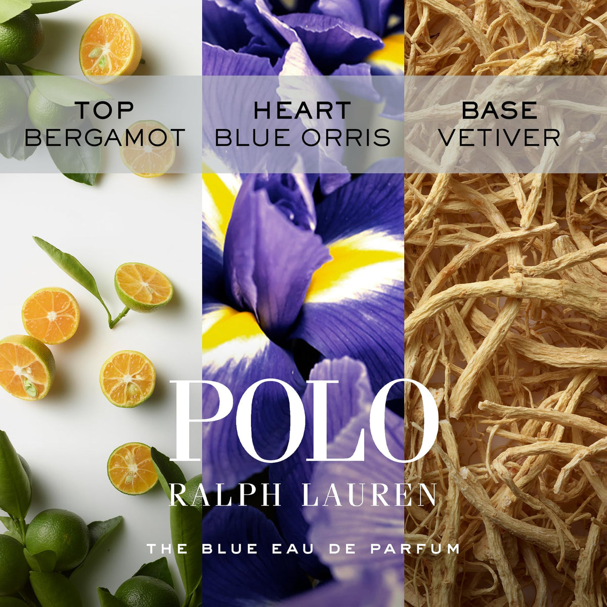 RALPH LAUREN FRAGRANCES Polo Blue Eau de Parfum bottle side view