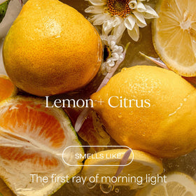 RAW SUGAR Lemon Citrus Energizer Body Wash side view