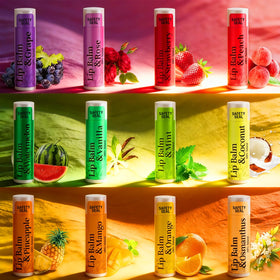 RBUGR Lip Balm Bulk 12 Fruit Flavours packaging