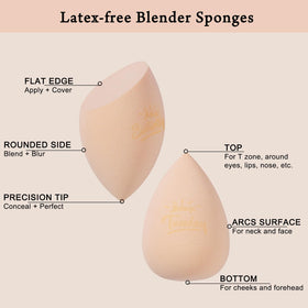Real Perfection makeup sponges arranged in travel case