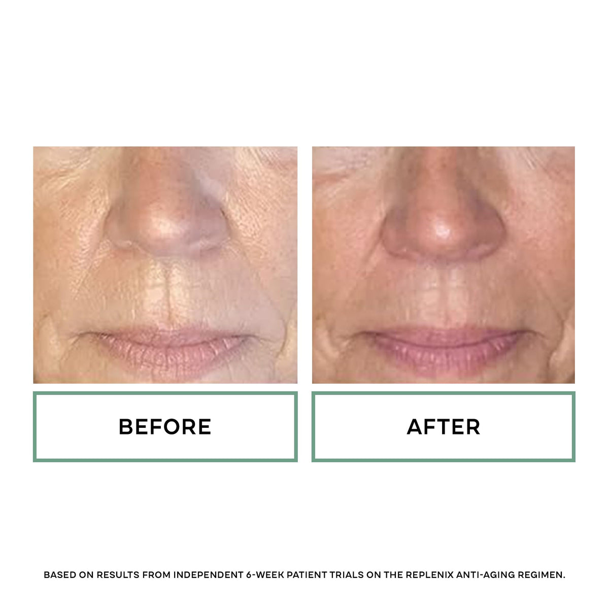 Replenix Age Restore Nighttime Therapy Face Cream ingredients list