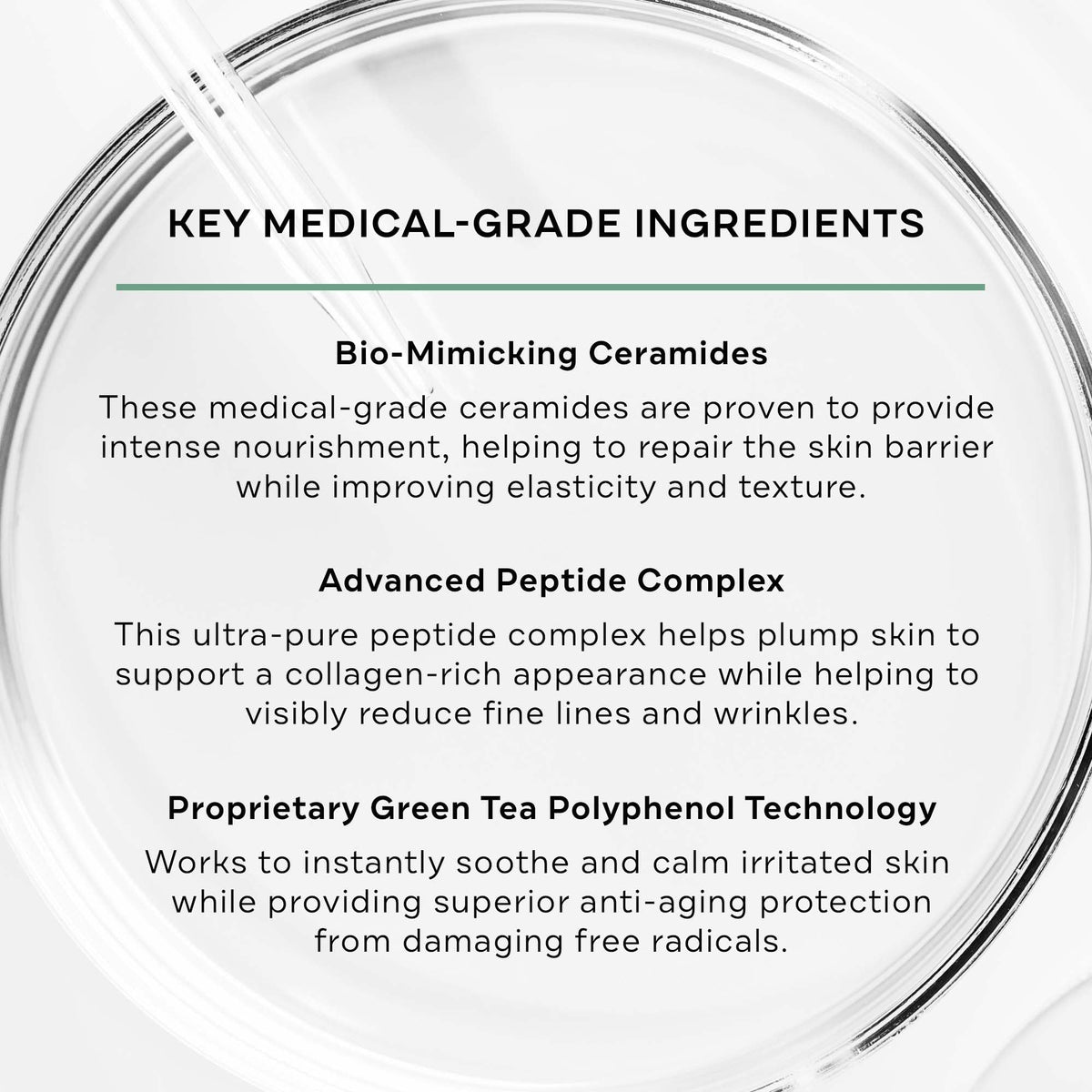 Replenix Age Restore Nighttime Therapy Face Cream texture close-up