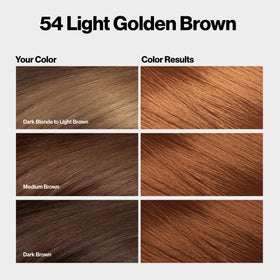 REVLON ColorSilk Hair Colour 54 Light Golden Brown back view with instructions