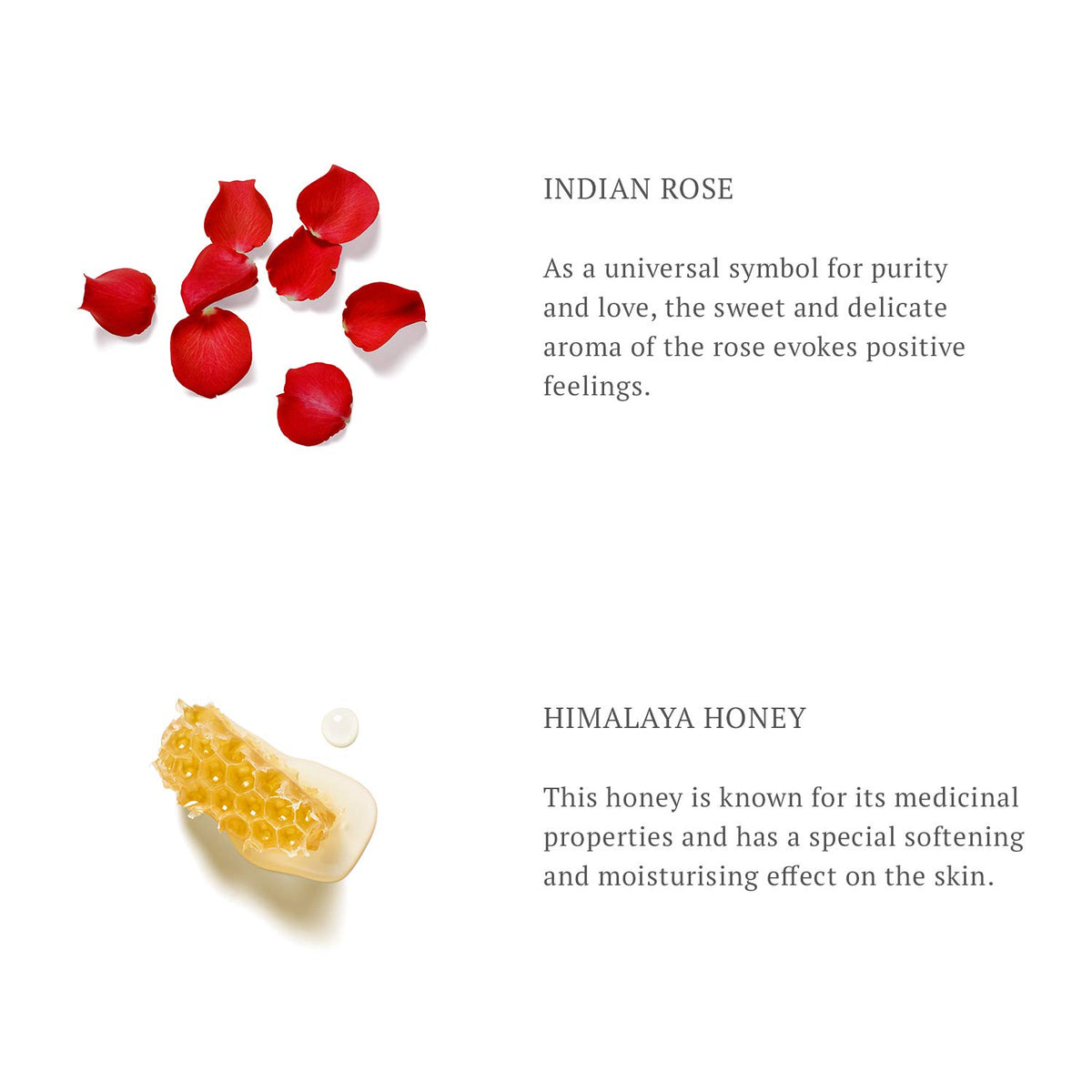 RITUALS The Ritual of Ayurveda Foaming Shower Gel bottle with cap