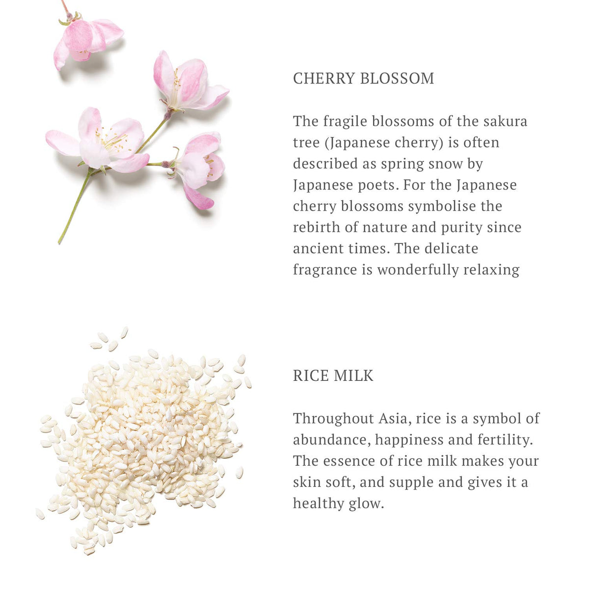 RITUALS The Ritual of Sakura Body Cream ingredients list