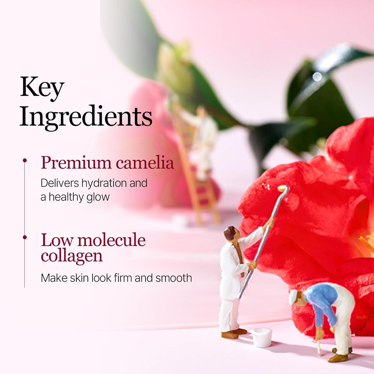 ROUND LAB Camellia Collagen Mask back view with instructions