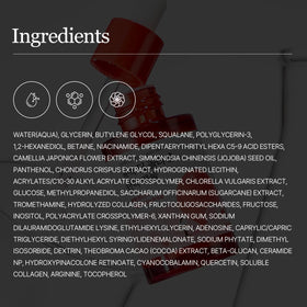 ROUND LAB Camellia Deep Collagen Firming Ampoule with ingredients