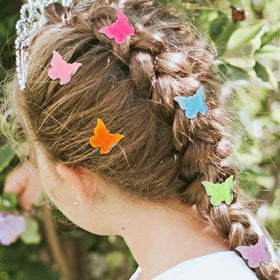 Ruocce butterfly hair clips in a round storage container