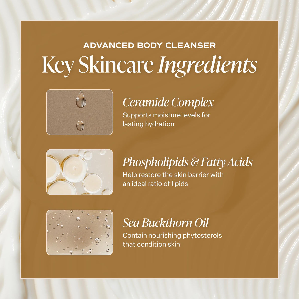 Saltair Multi-Lipid Body Butter with ingredients list on display