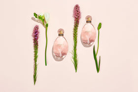 Sarah Jessica Parker Eau De Parfum with floral accents