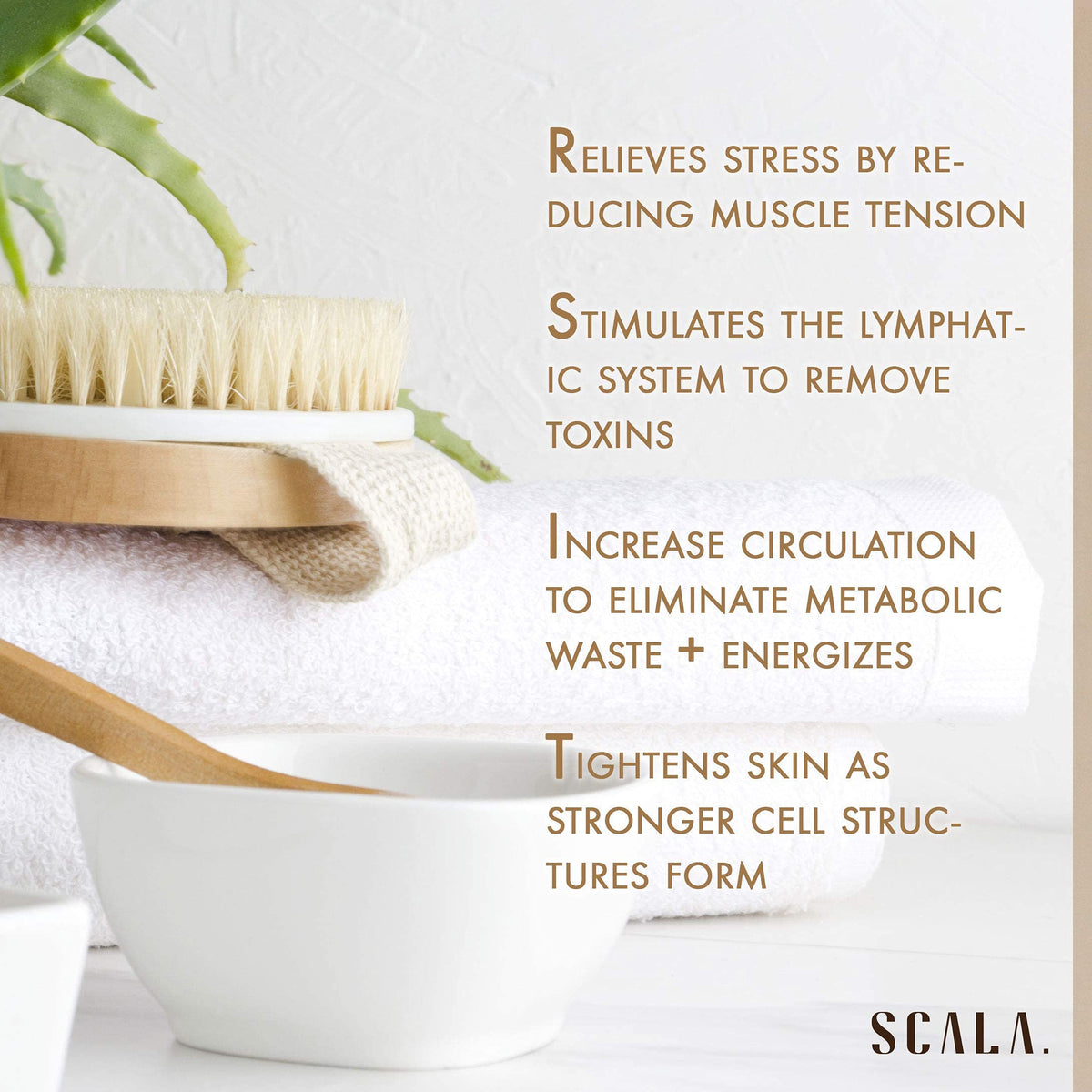 Scala Body Brush Natural Bristle hanging on a hook