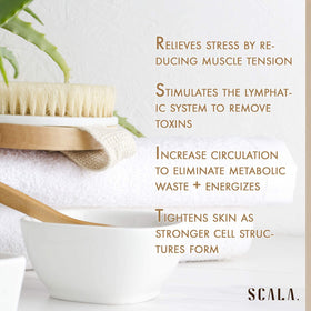 Scala Body Brush Natural Bristle hanging on a hook