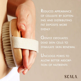 Scala Body Brush Natural Bristle with dimensions shown
