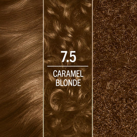 Schwarzkopf hair dye application process