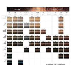 Schwarzkopf Igora Royal Colour Creme application scene