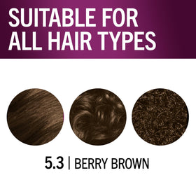 Schwarzkopf Keratin Color 5.3 Berry Brown hair dye on a model
