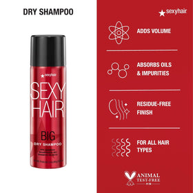 SexyHair Big Dry Shampoo 3.4 Oz with other hair care products