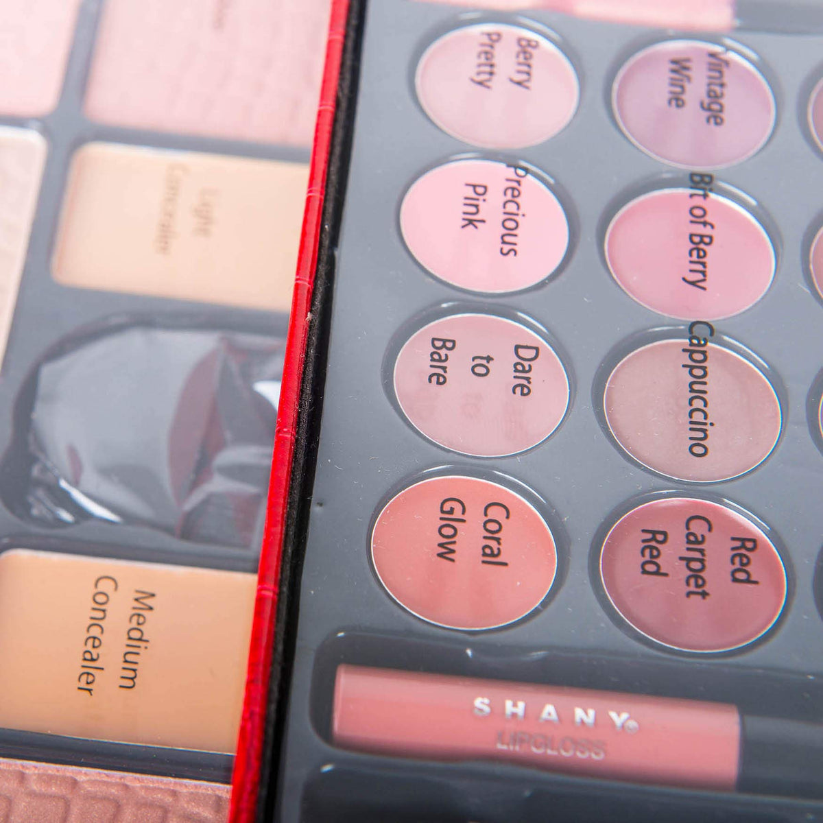 SHANY makeup kit showing 45 eyeshadow shades