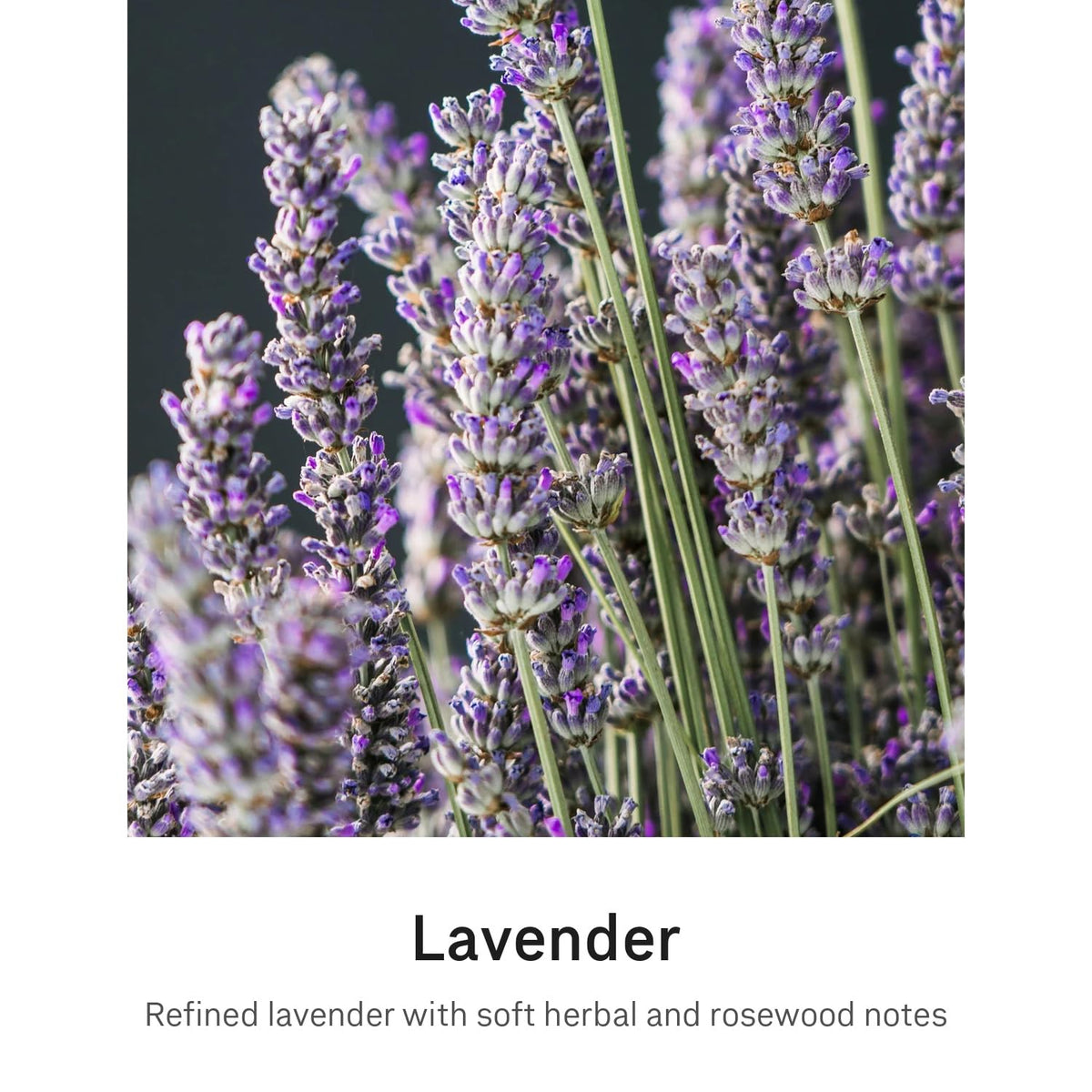 simplehuman Lavender Liquid Hand Soap Refill packaging