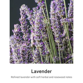 simplehuman Lavender Liquid Hand Soap Refill packaging