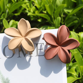 Sisiaipu Flower Claw Clips packaging display