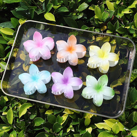 Sisiaipu Flower Hair Clips Blue and Purple on a table