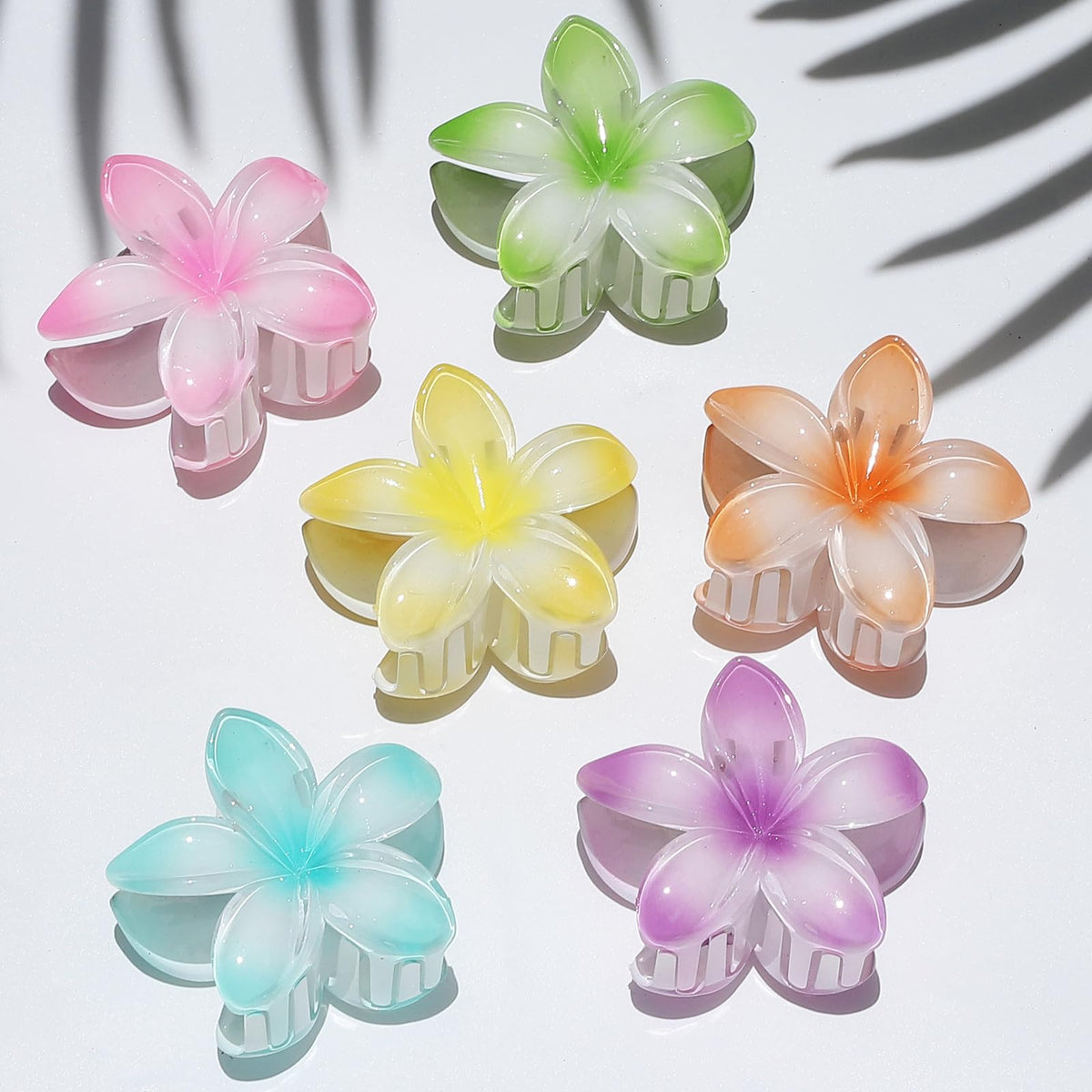Sisiaipu Flower Hair Clips packaging with all six colours