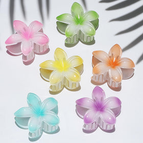 Sisiaipu Flower Hair Clips packaging with all six colours