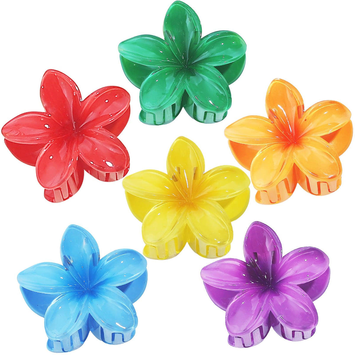 Sisiaipu Flower Hair Clips set with six colourful clips