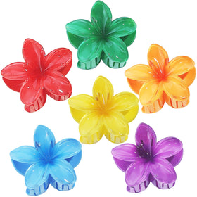 Sisiaipu Flower Hair Clips set with six colourful clips