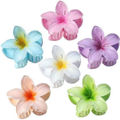 Sisiaipu Flower Hair Clips set with six colourful clips