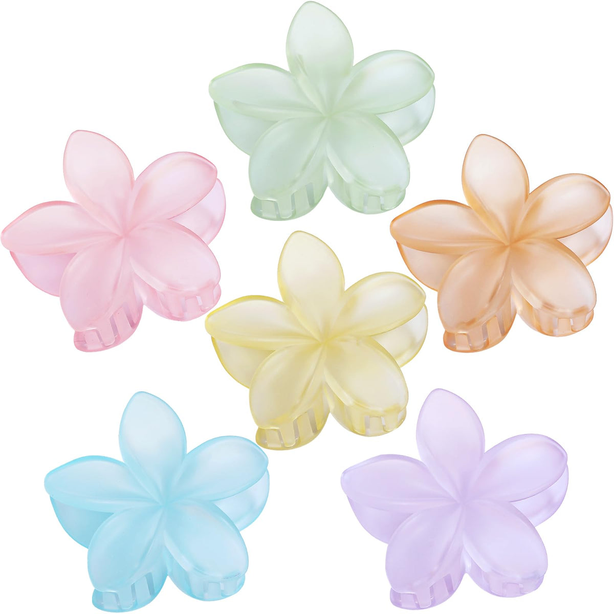 Sisiaipu Flower Hair Clips set with six vibrant colours