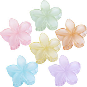 Sisiaipu Flower Hair Clips set with six vibrant colours